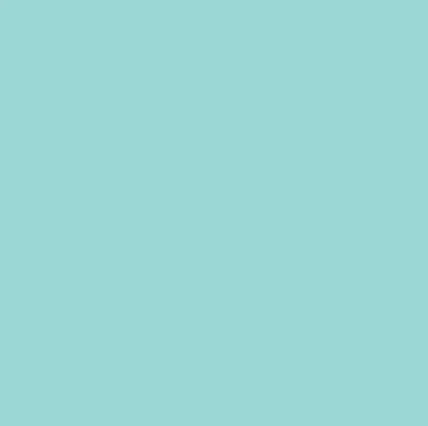 Matte Spandex