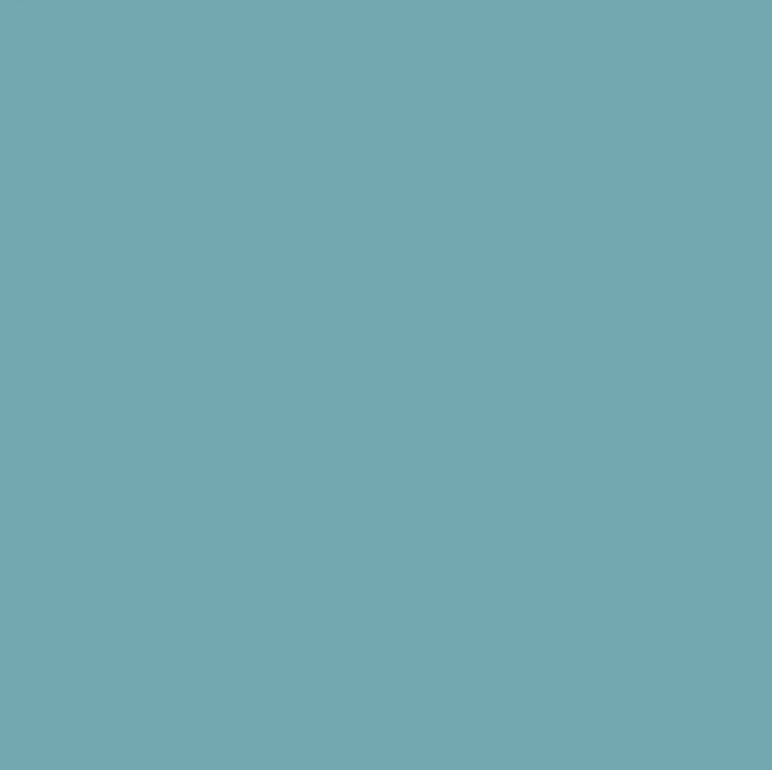 Matte Spandex