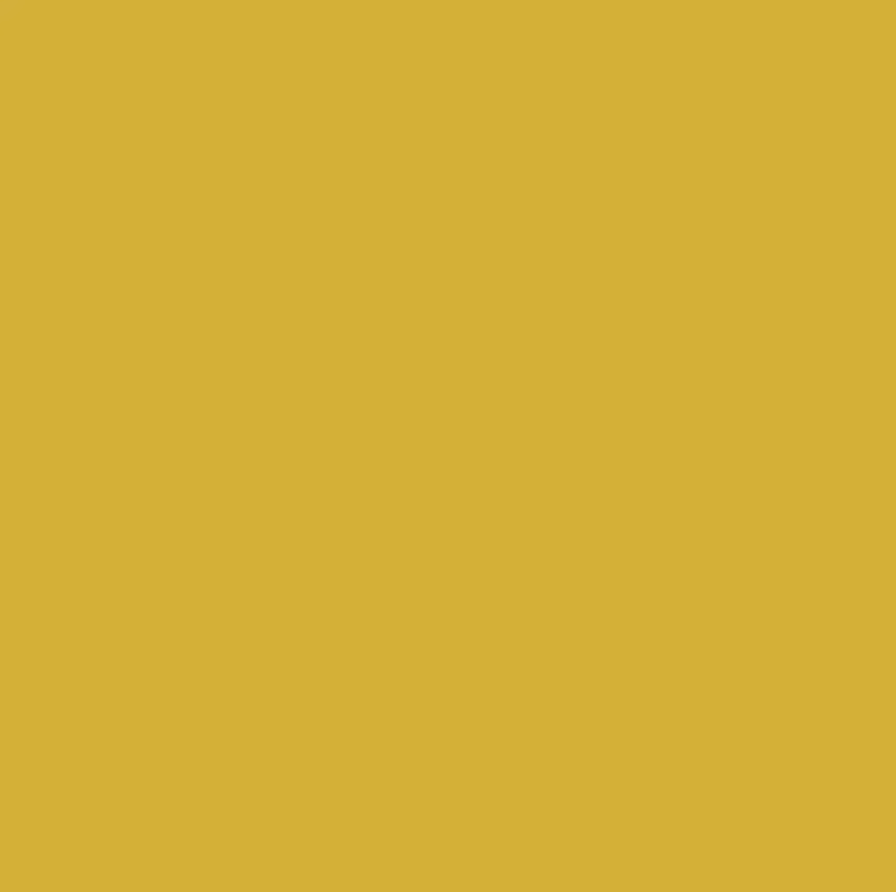 Matte Spandex