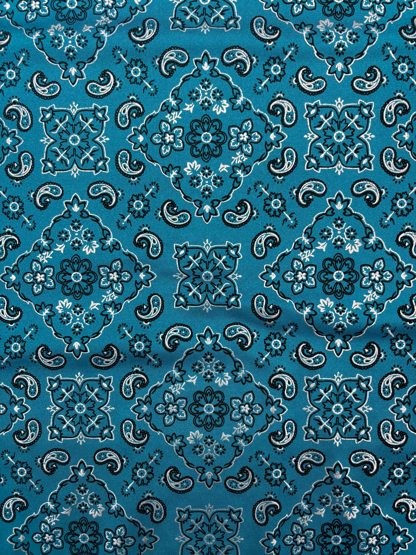 Teal Paisley Spandex