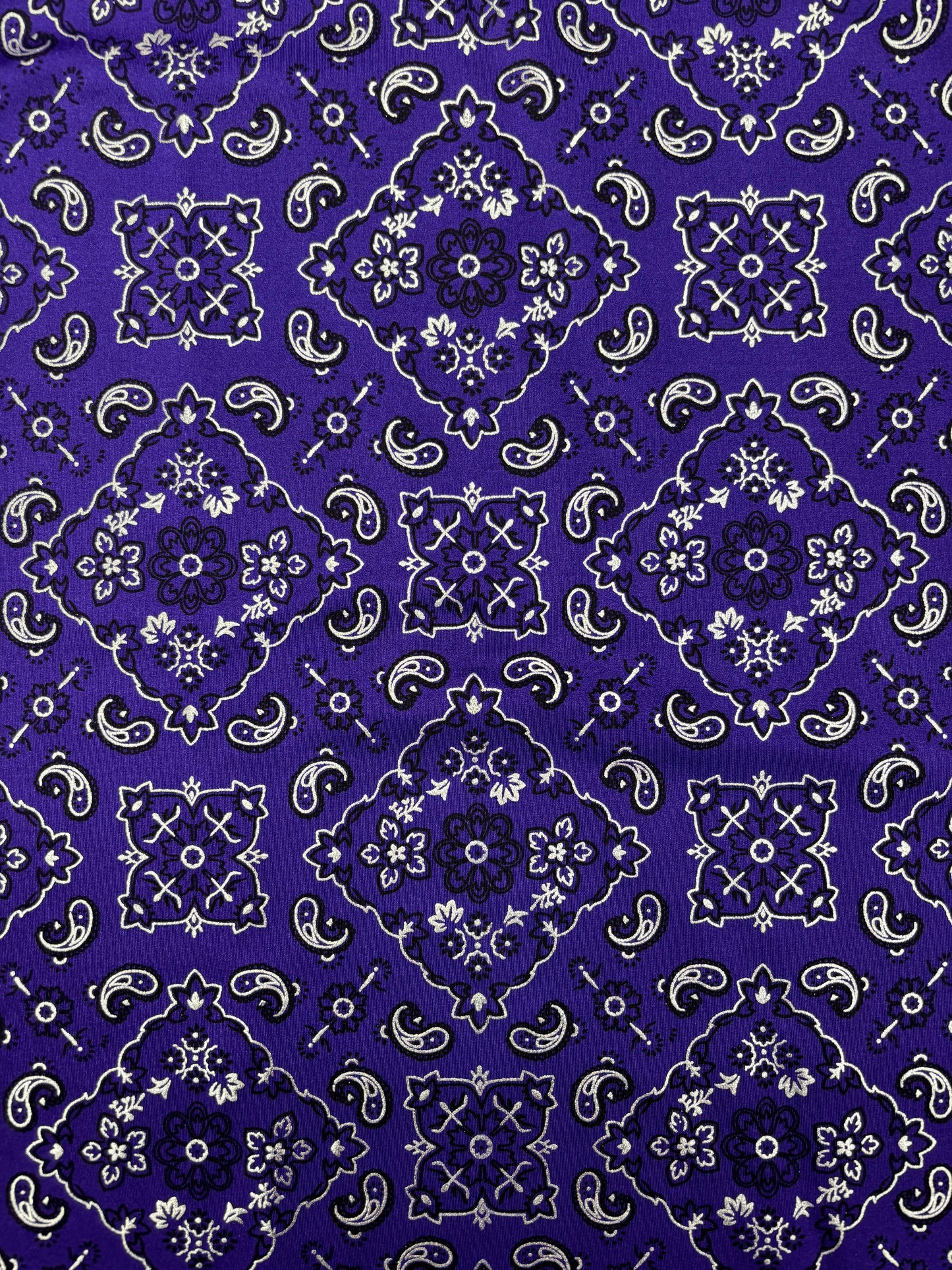 Purple Paisley Spandex