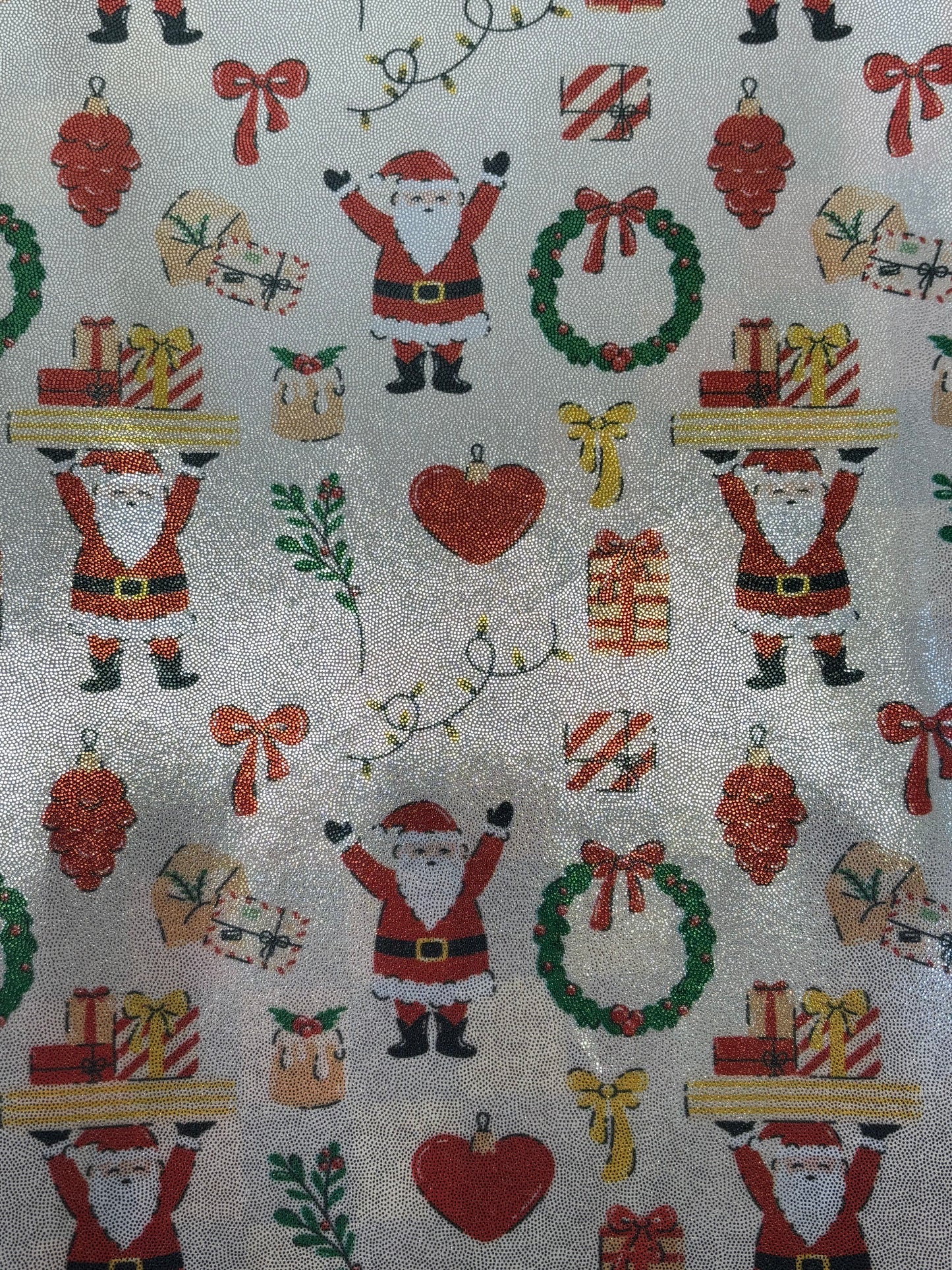 Jolly Santa Printed Mystique Spandex