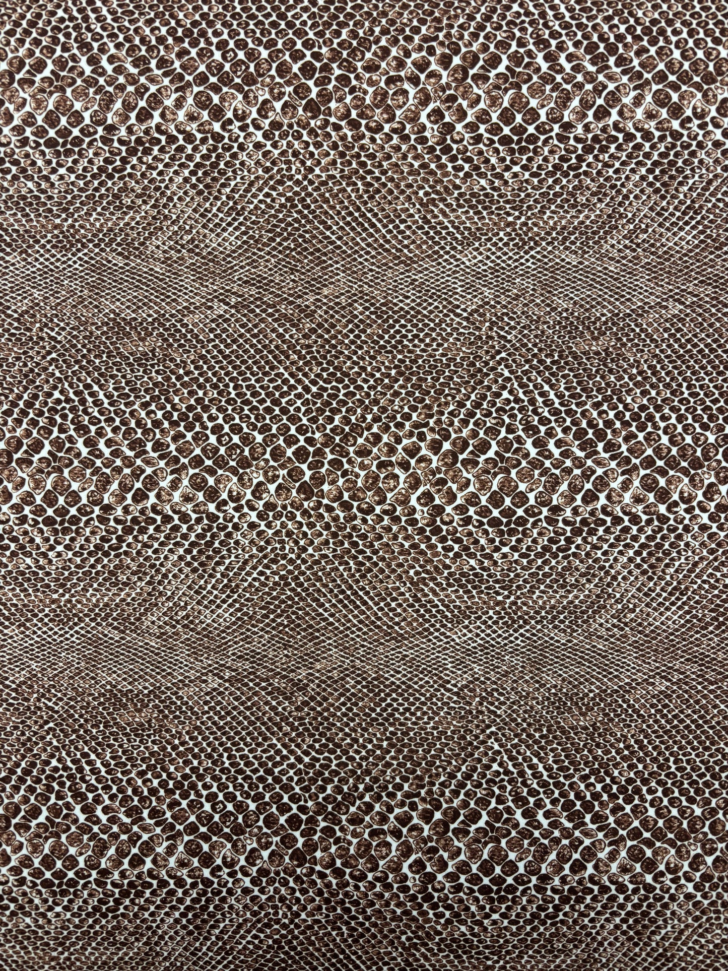 Snake Print Spandex