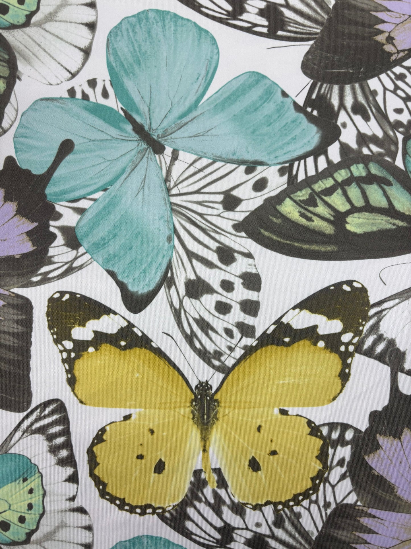 Butterfly Print Spandex