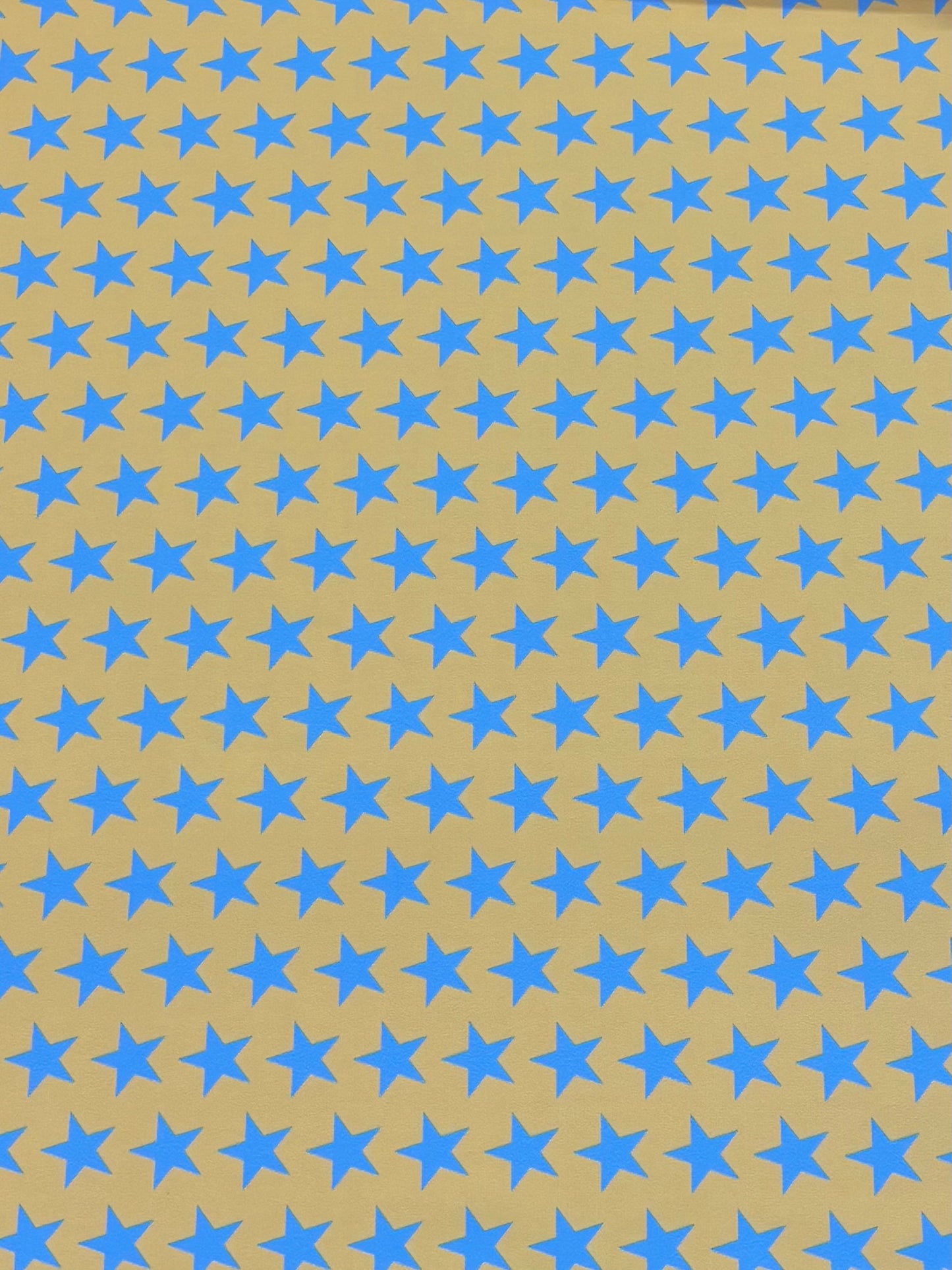 Star Print Spandex