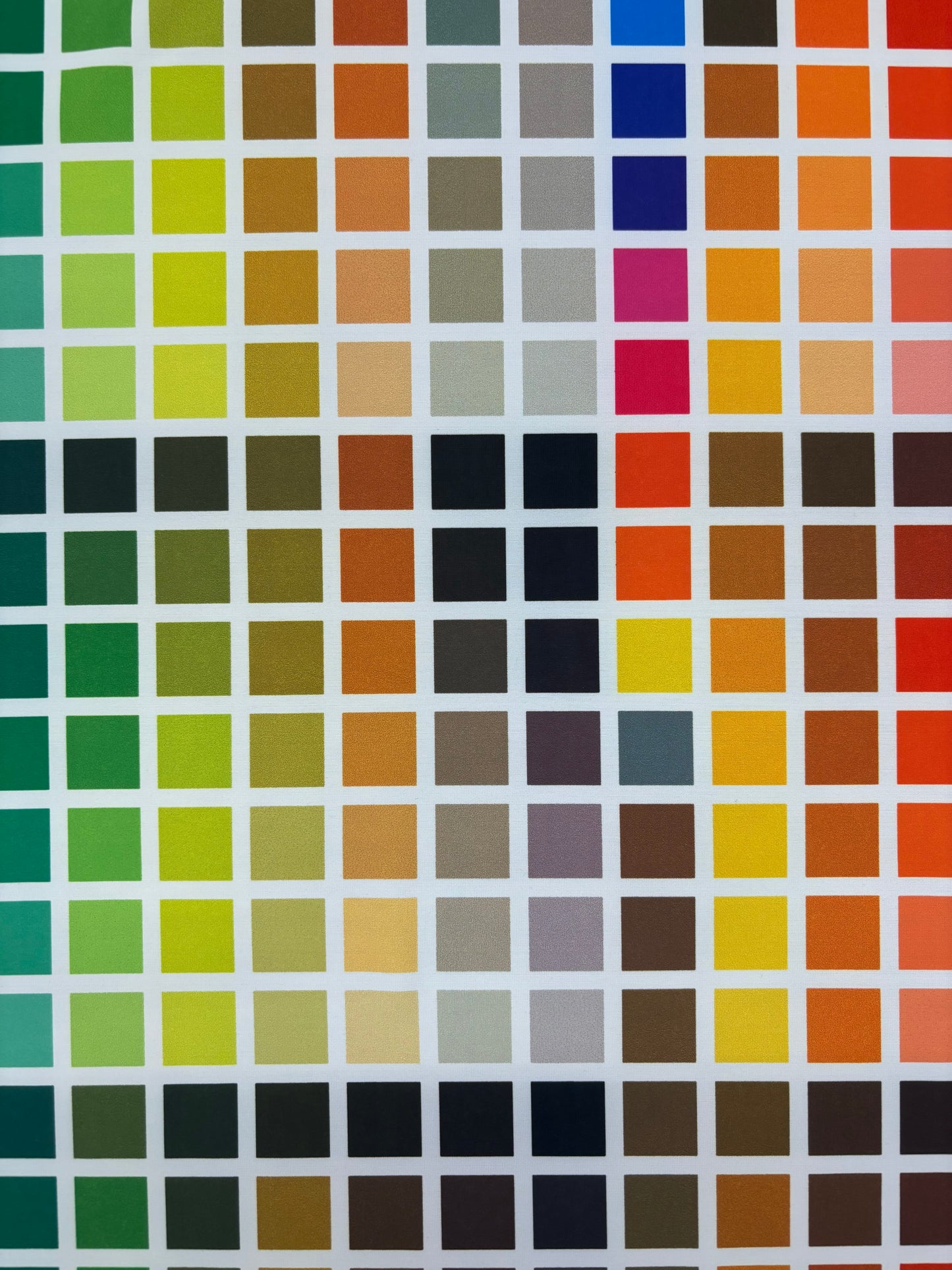 Color Block Spandex