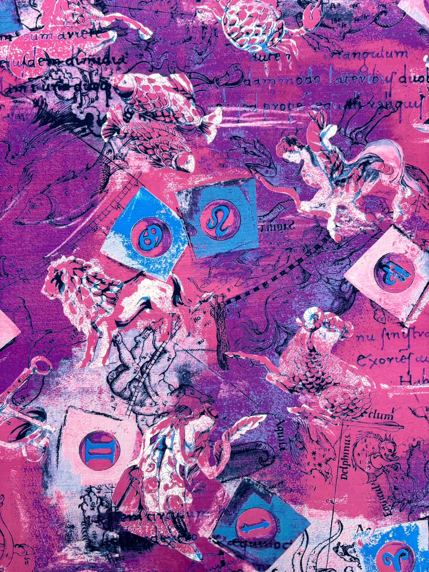 Pink Astrology Print Spandex