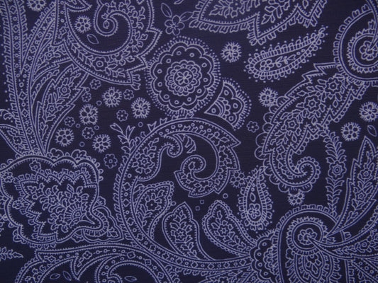 Navy and White Paisley