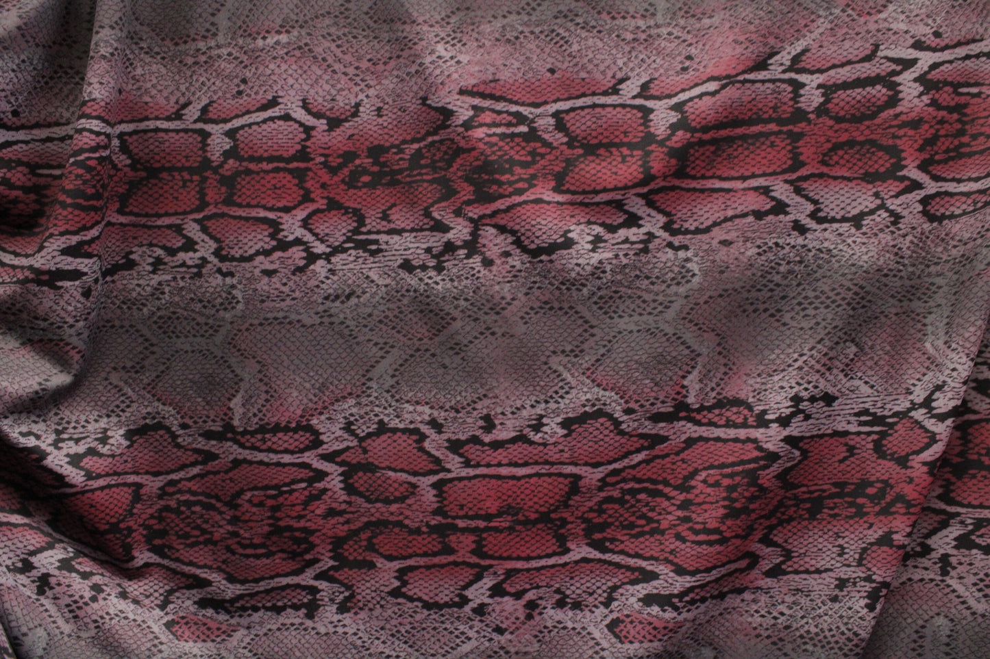 Rattle Snake - 9 Colorways