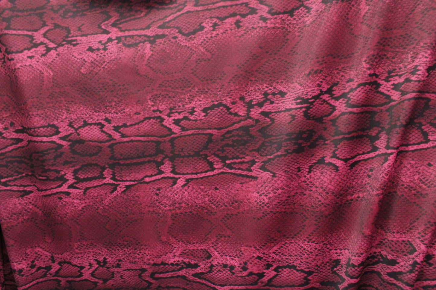 Rattle Snake - 9 Colorways