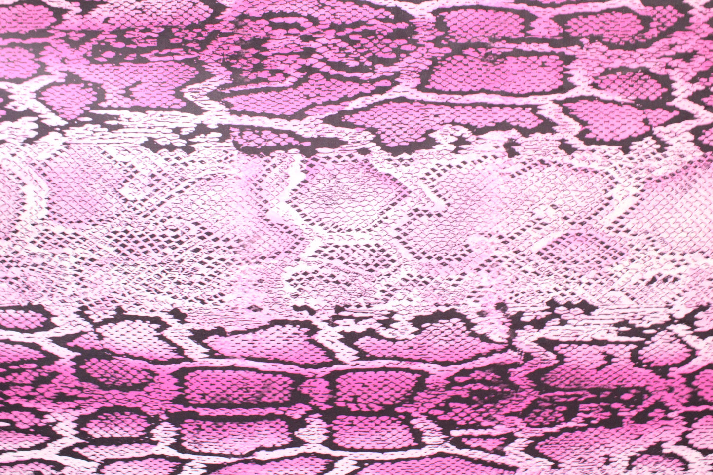Rattle Snake - 9 Colorways