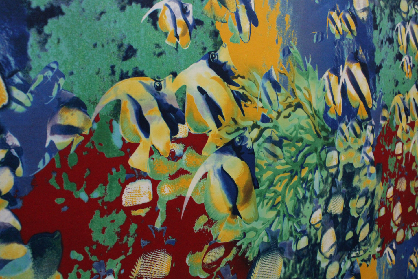 Tropical Fish