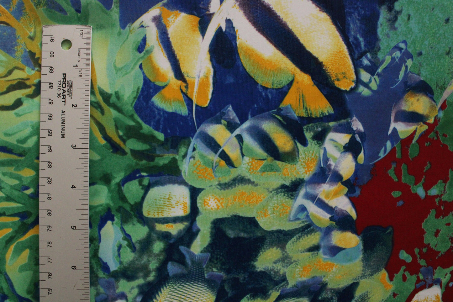 Tropical Fish