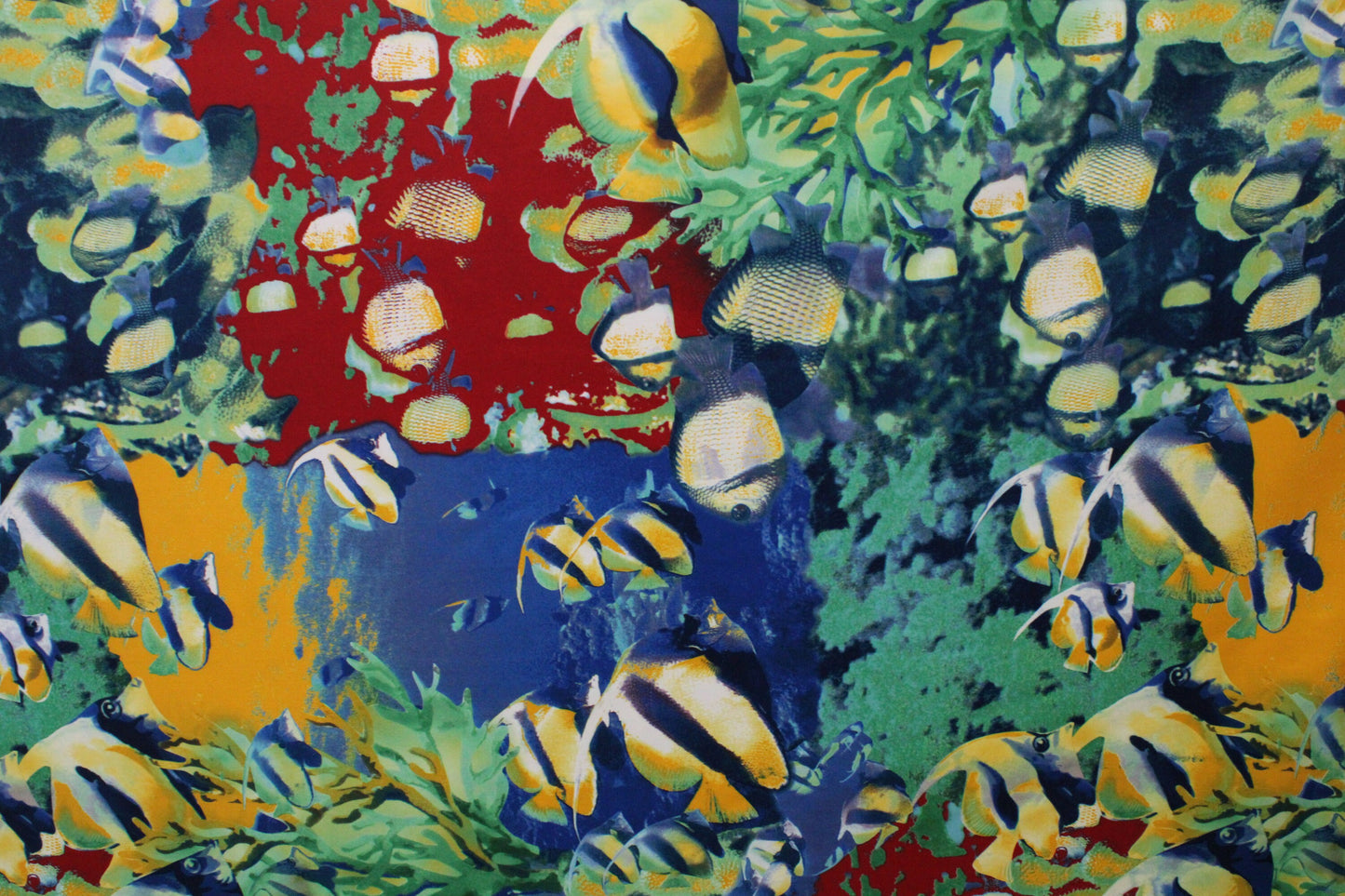 Tropical Fish