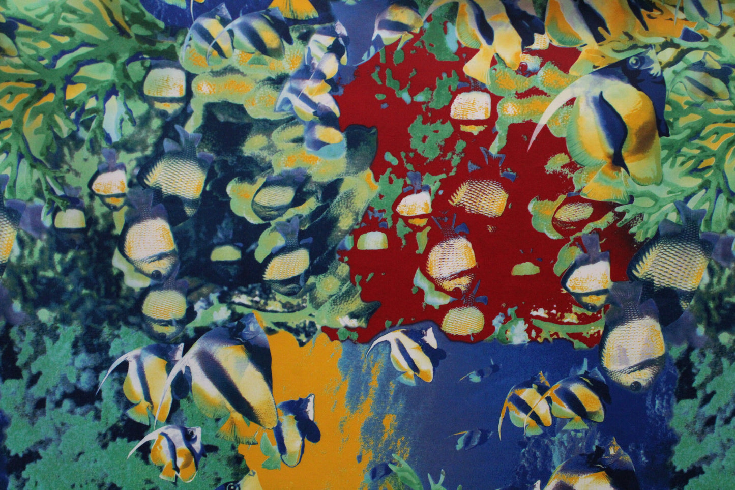 Tropical Fish