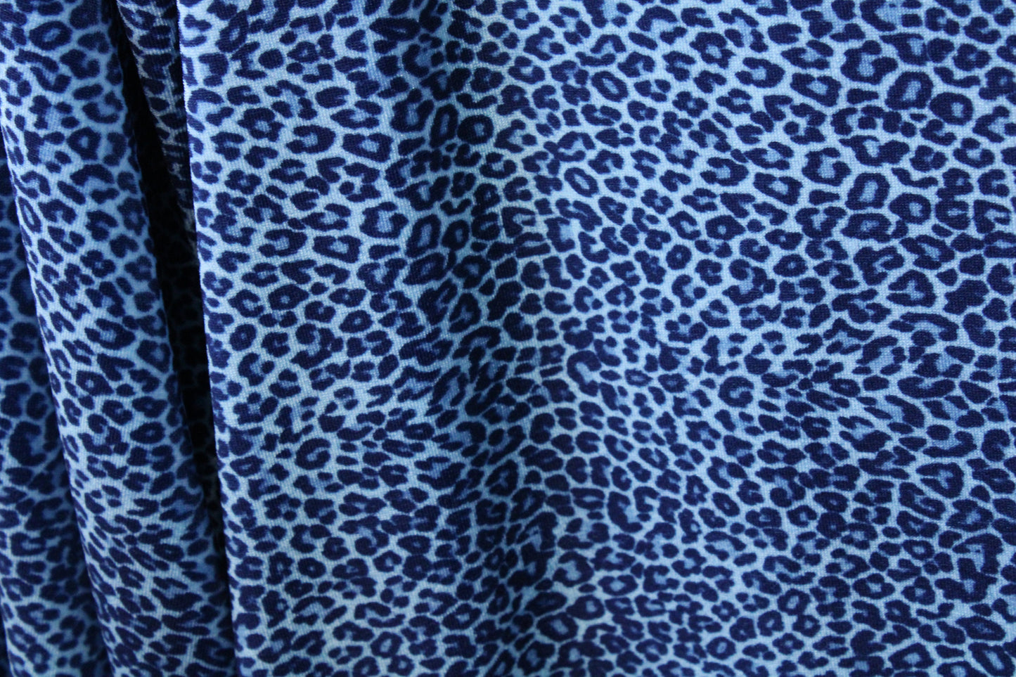 Blue Cheetah