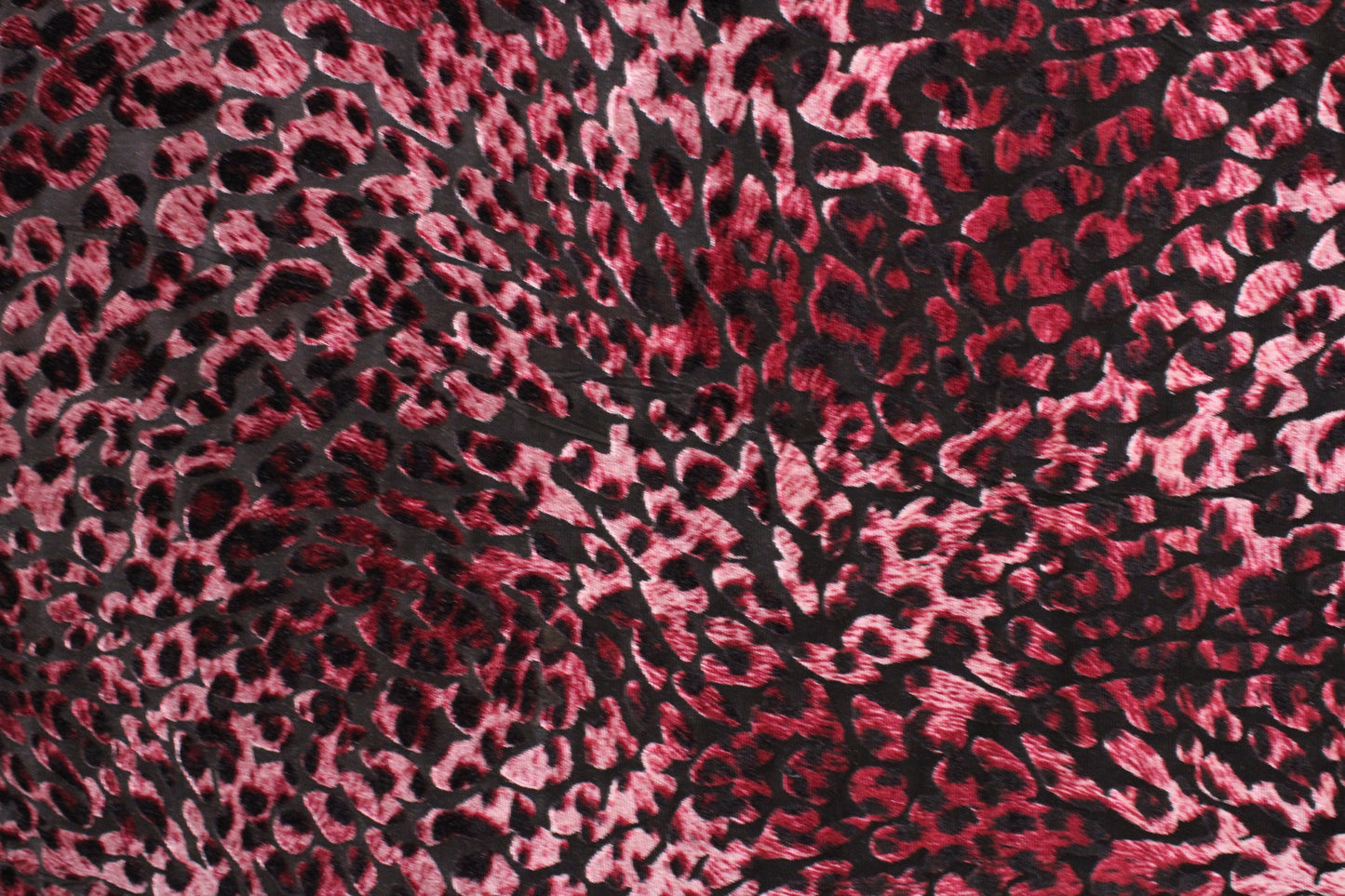 Maroon Cheetah