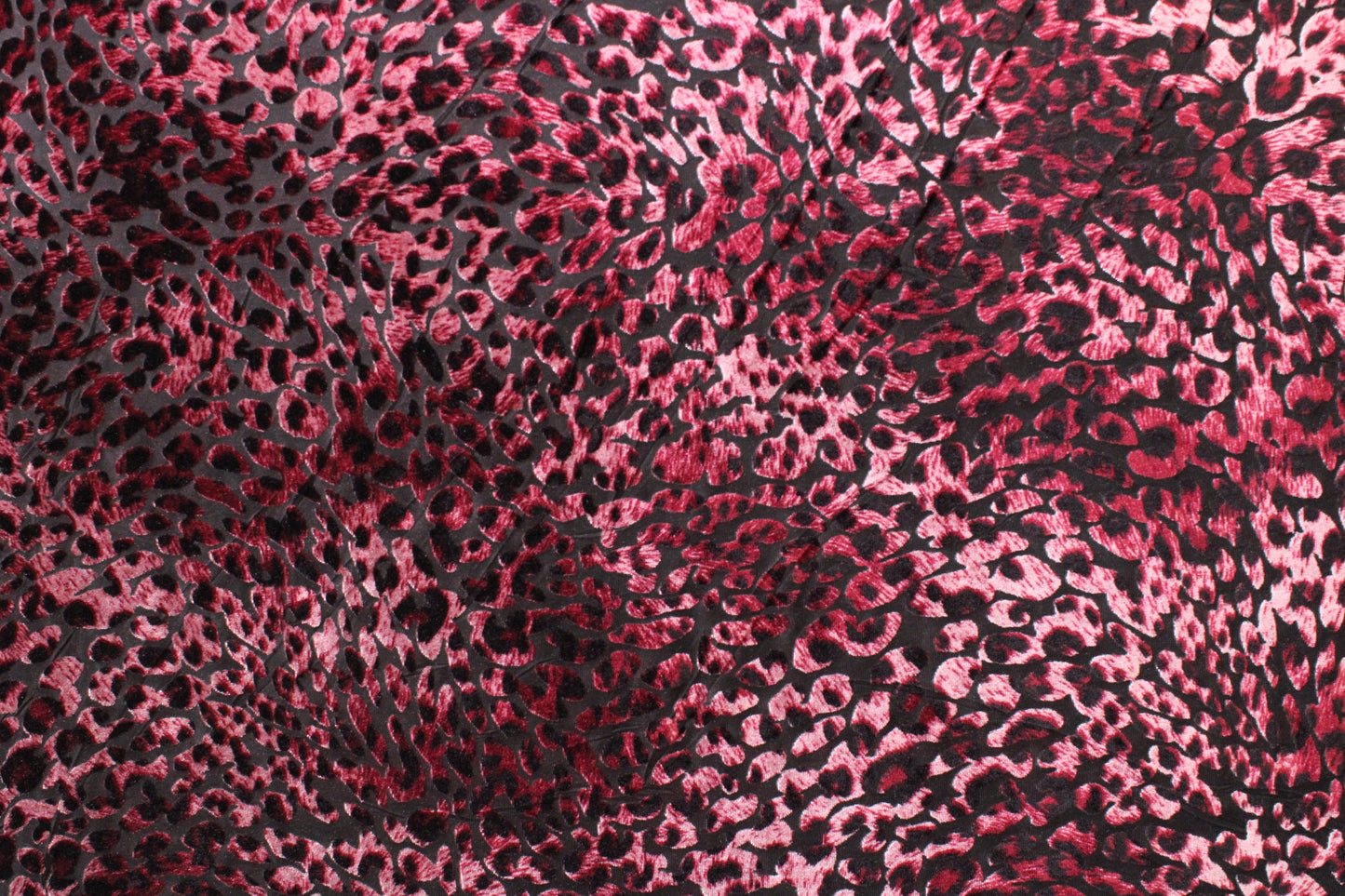 Maroon Cheetah