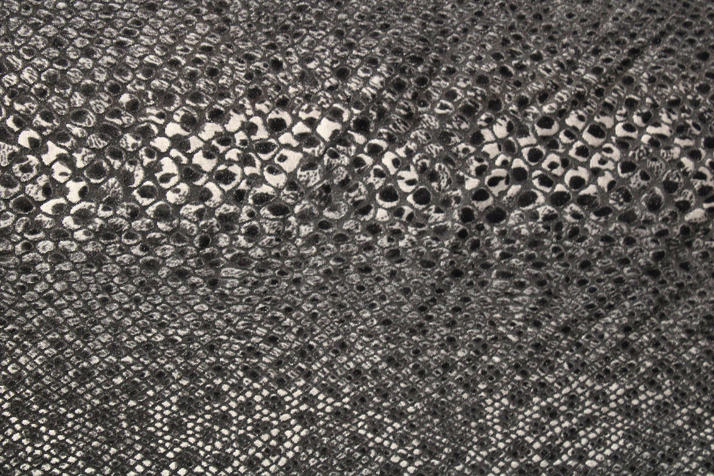Snake Print