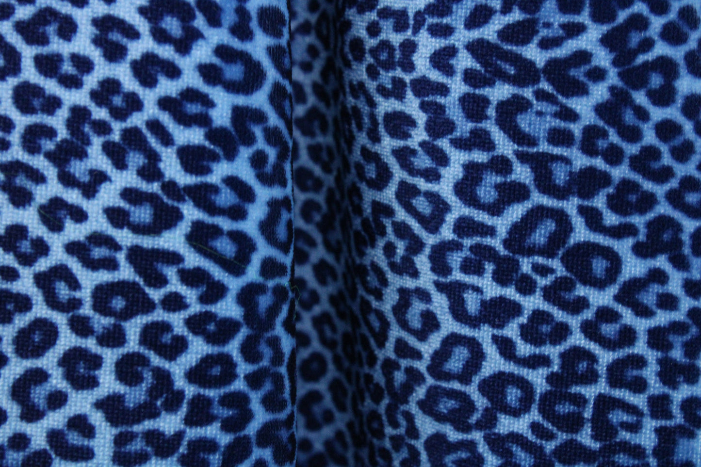 Blue Cheetah