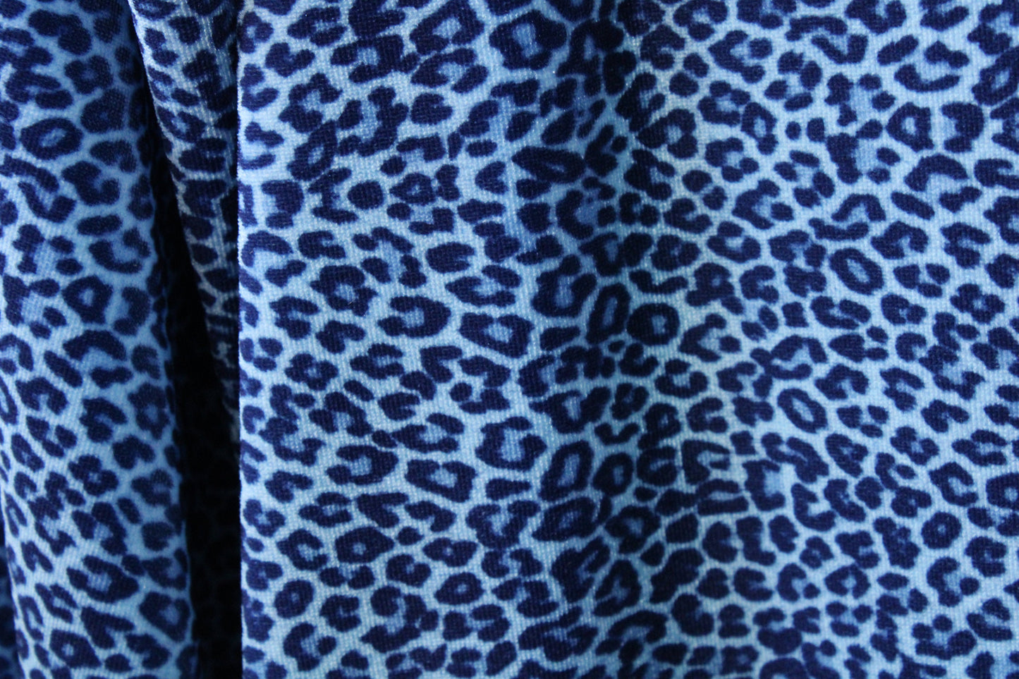 Blue Cheetah