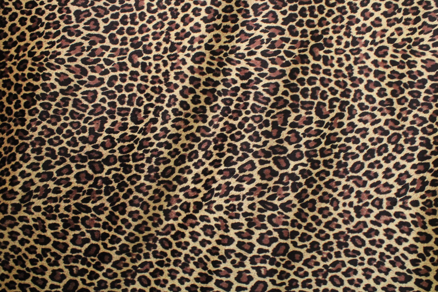 Classic Cheetah