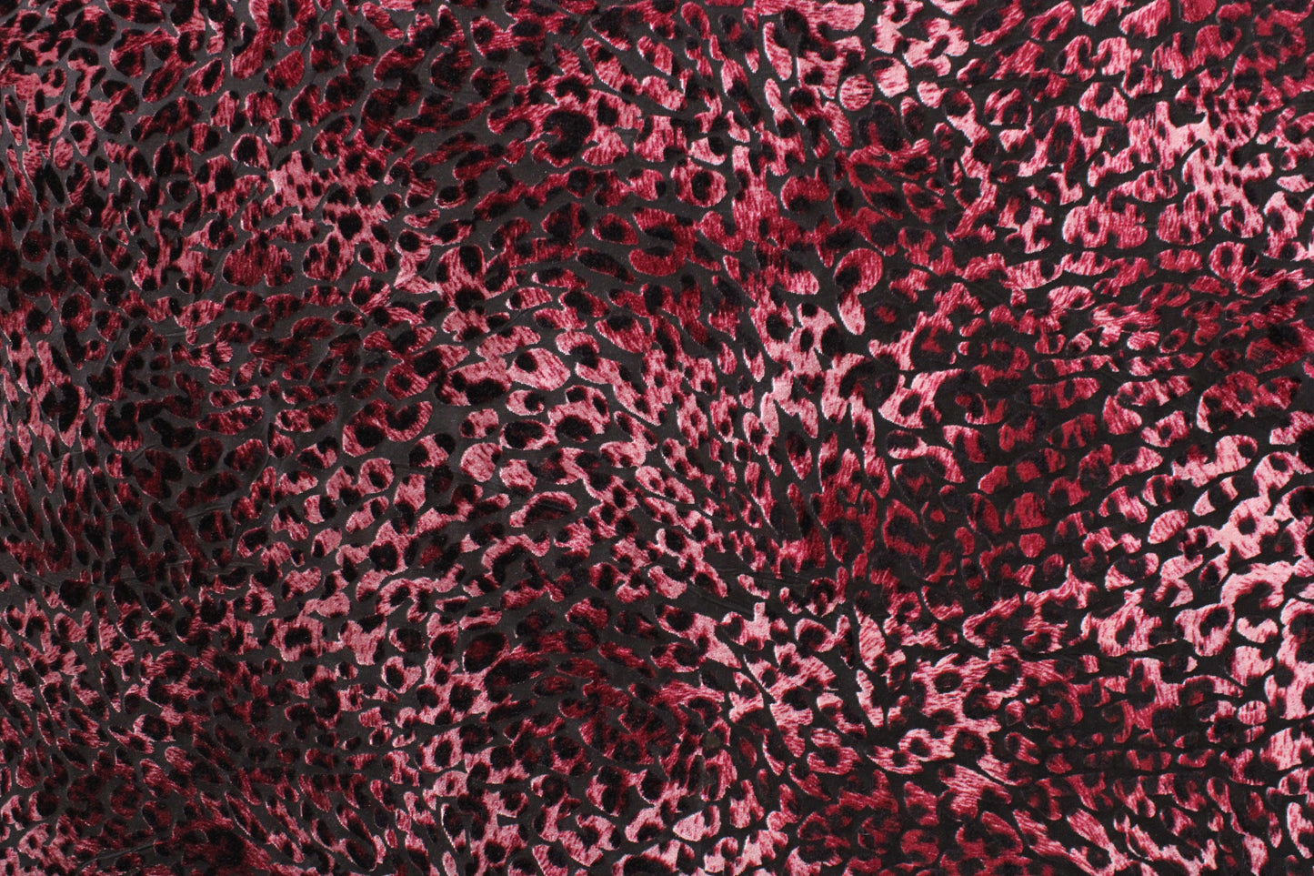 Maroon Cheetah