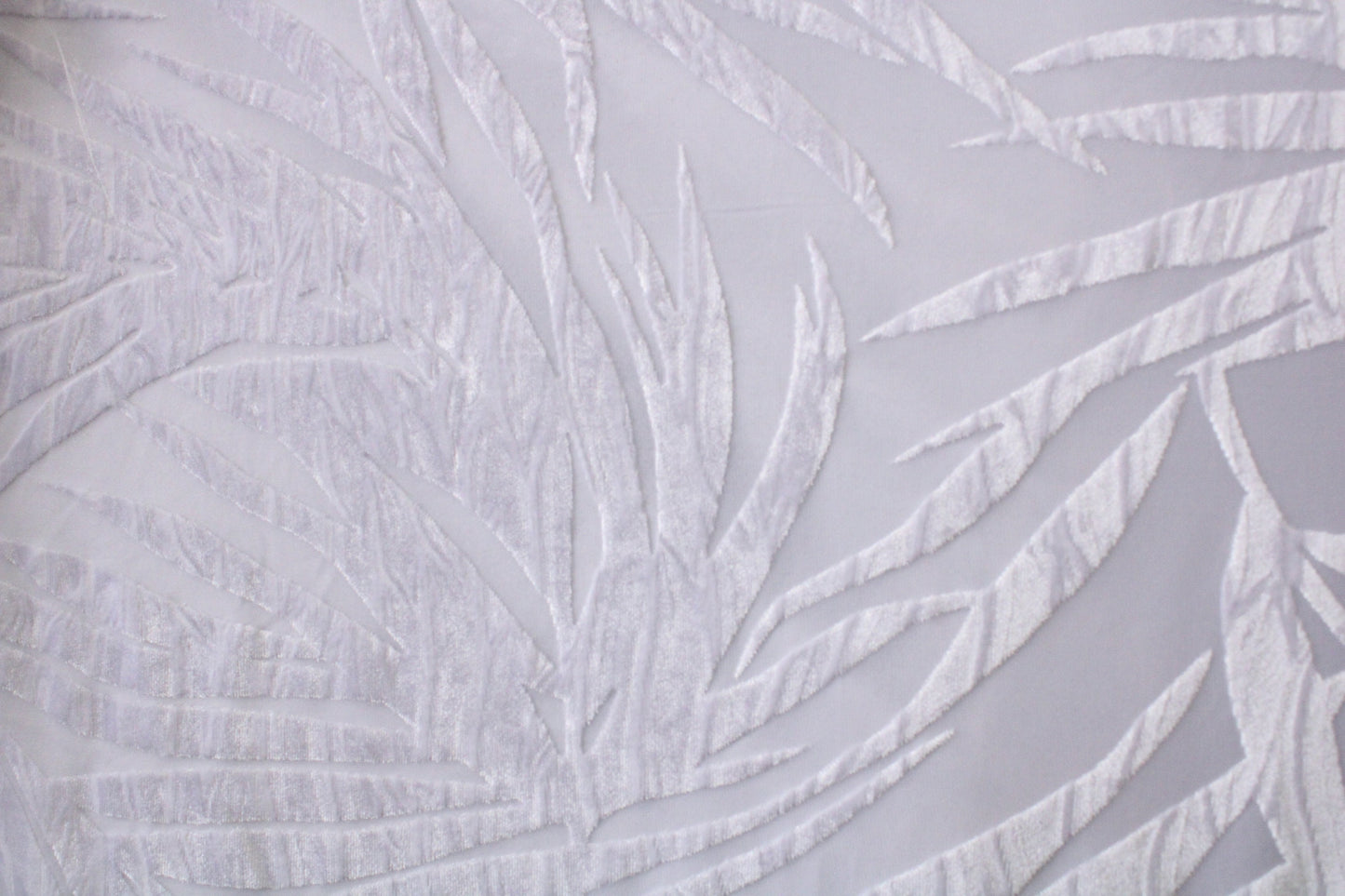 Palm Leaves