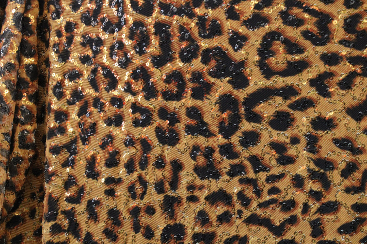 Amber Cheetah