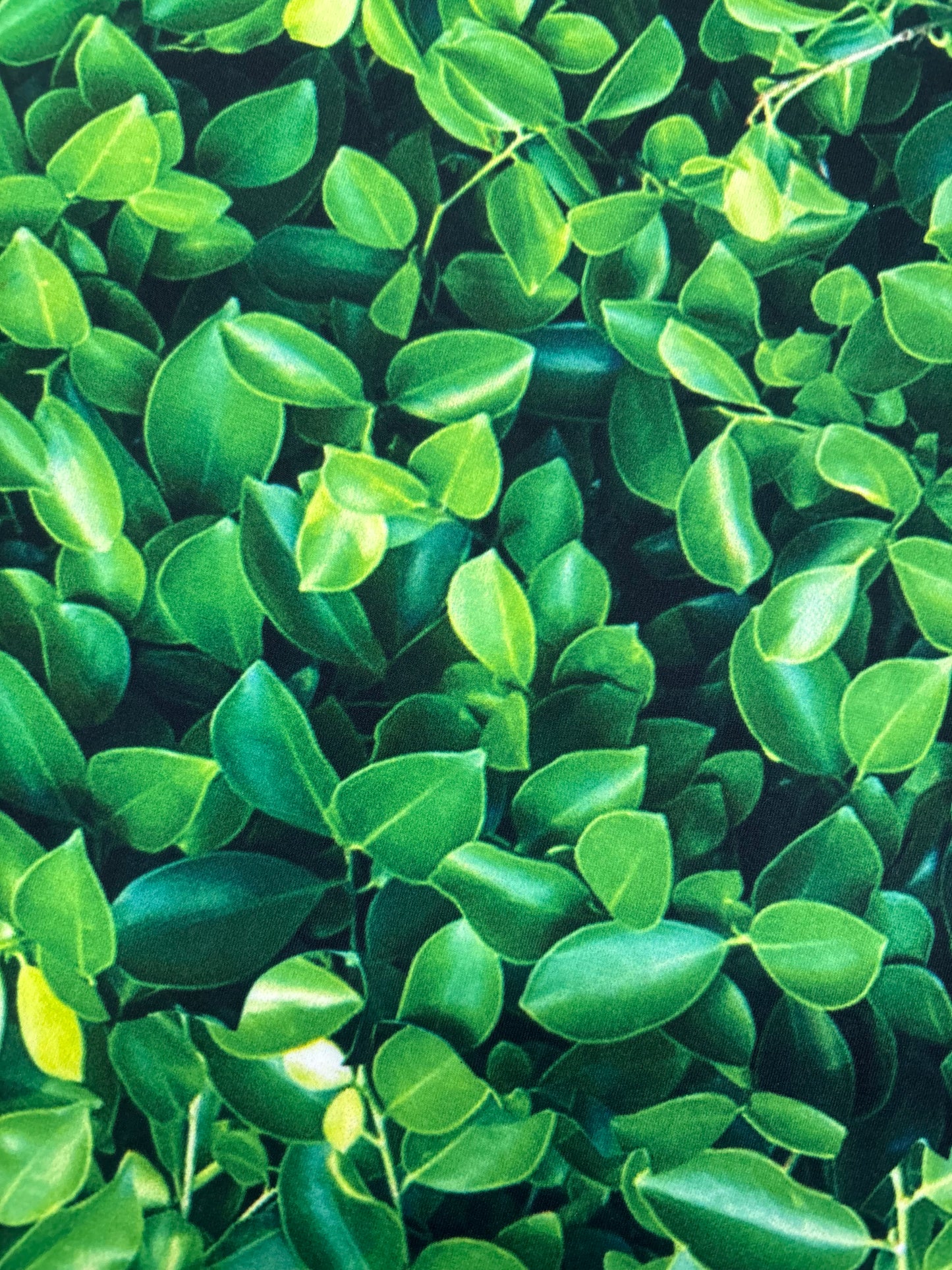 Green Leaves Spandex