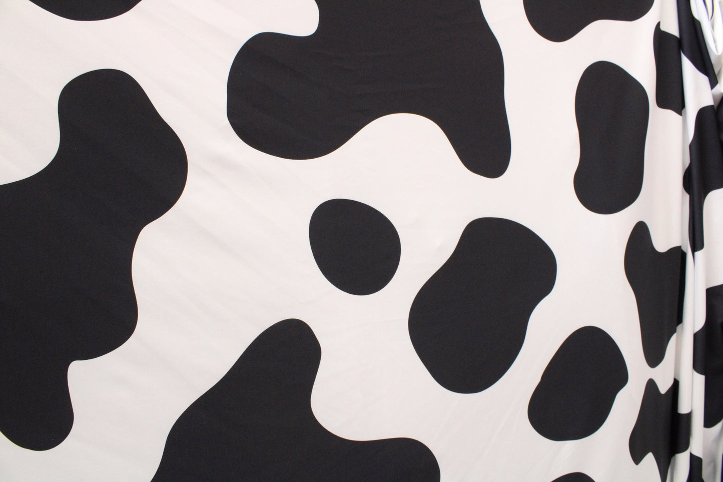 Large Cow Print