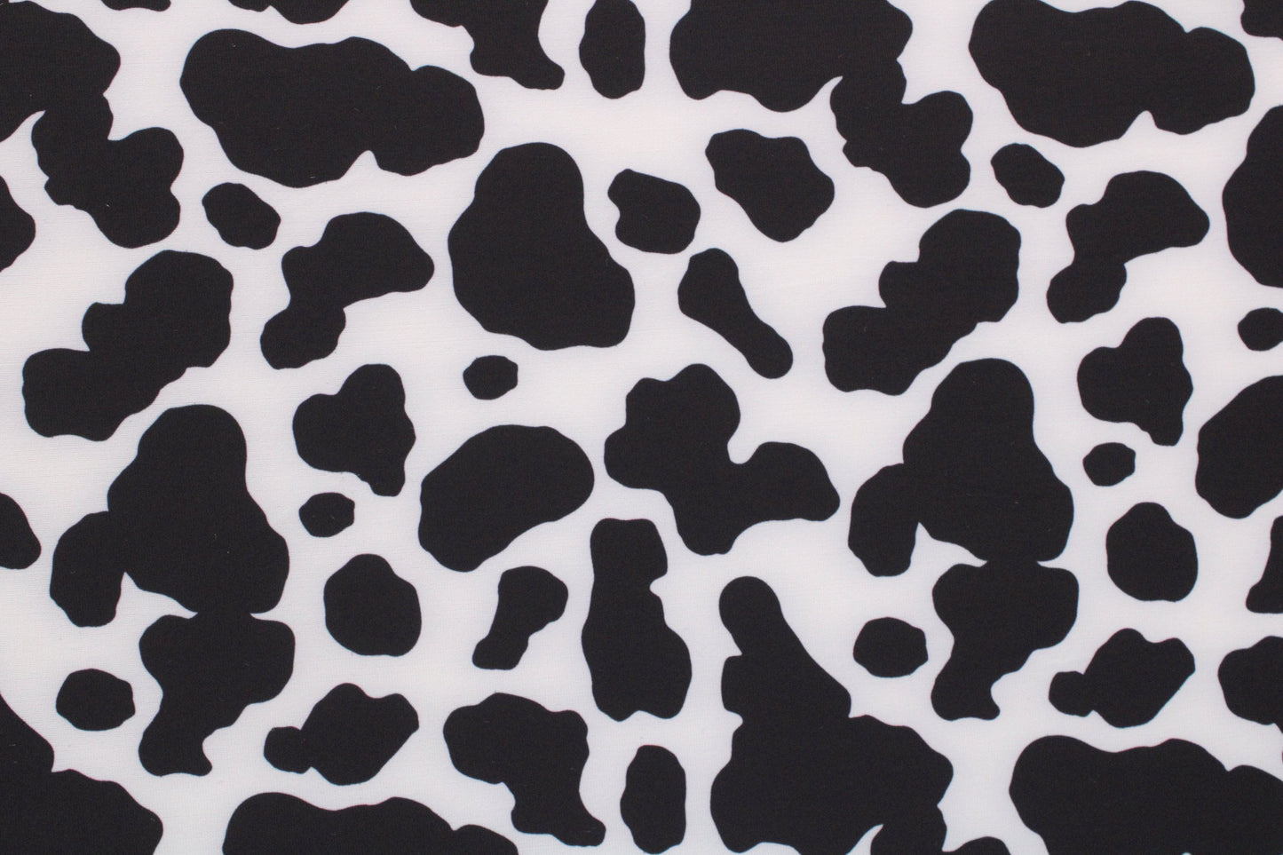 Black and White Cow Print