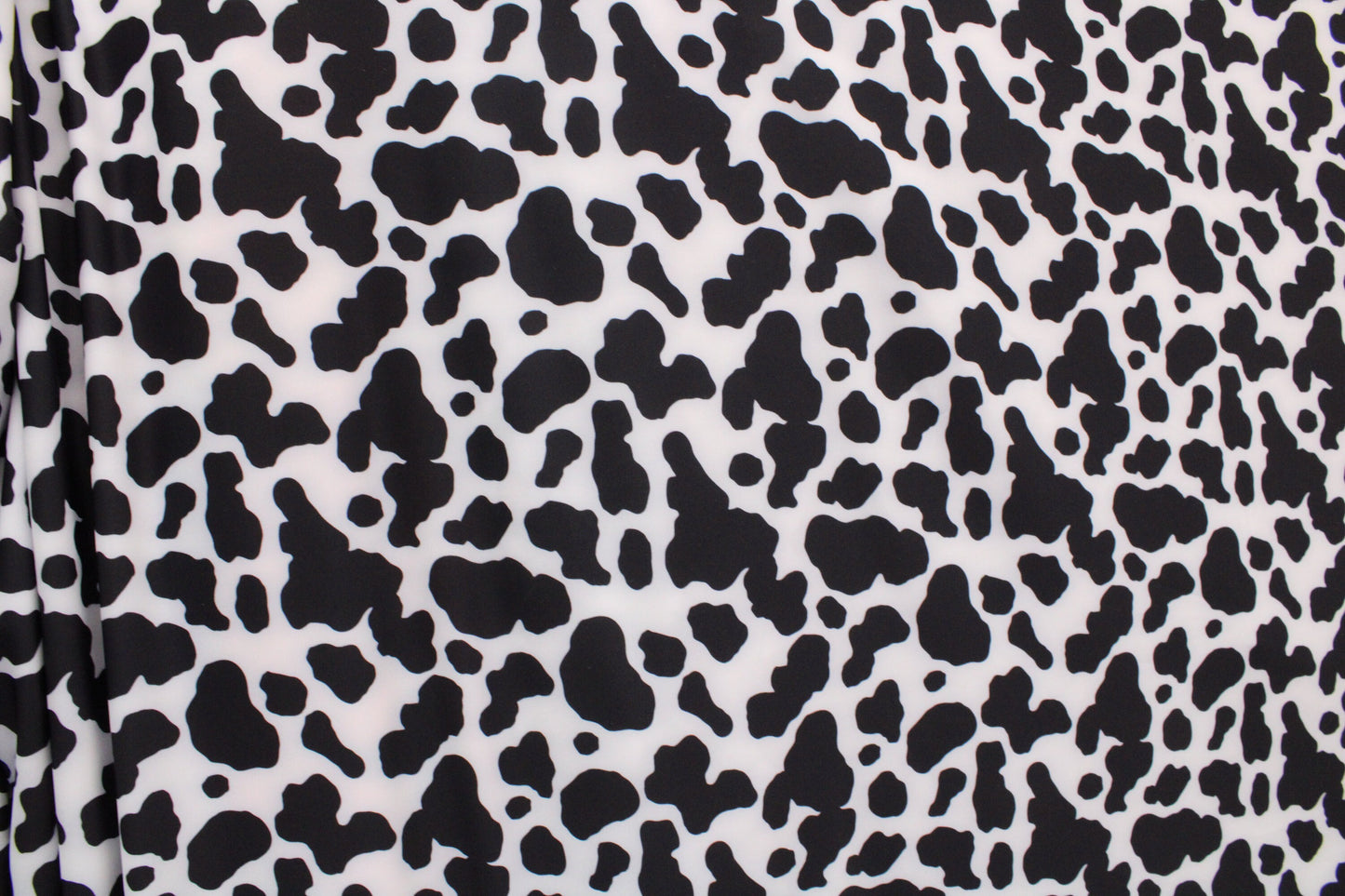 Black and White Cow Print