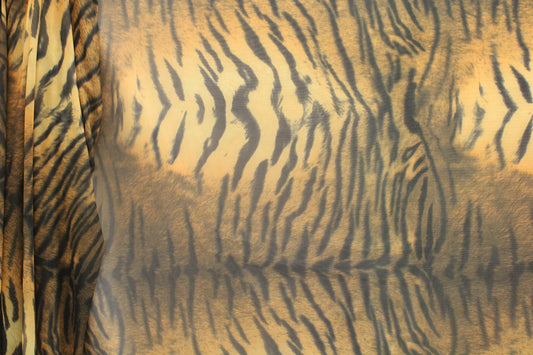 Elegant Tiger
